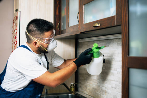 Best Wildlife Control Services  in Dobson, NC