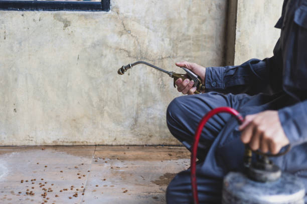 Best Pest Control Near Me  in Dobson, NC